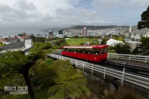 Wellington - Cable Car in die Stadt